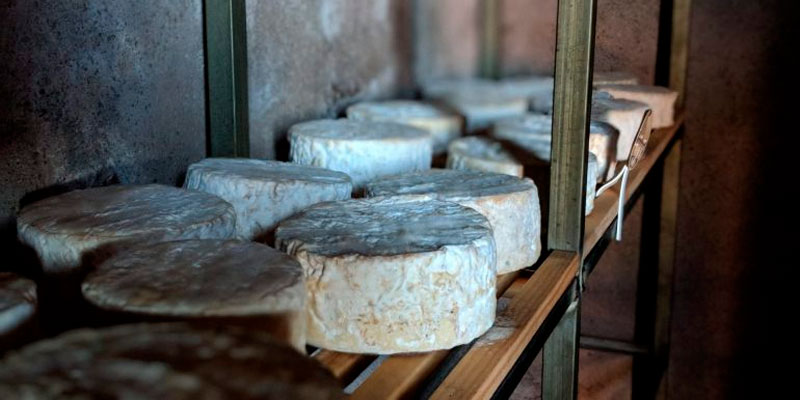 Jornadas-ibéricas-sobre-quesos-artesanales-con-DOP